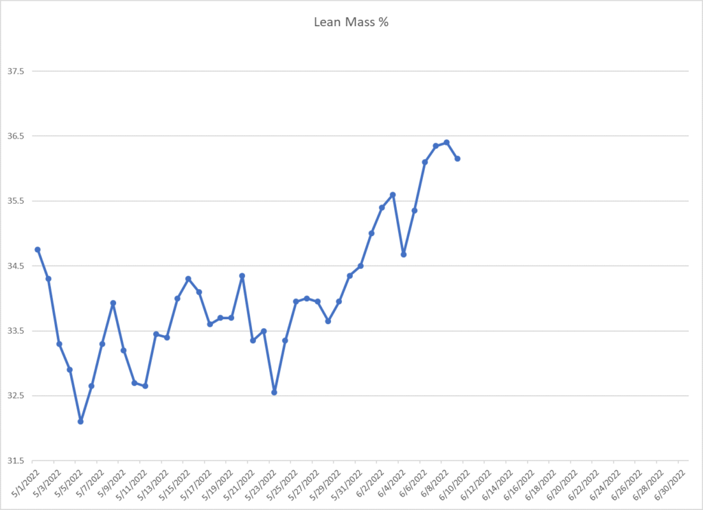 lean muscle percentage